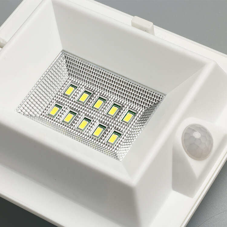 Buitenmuurgesteund zonne-tuinlamp met PIR-bewegingssensor en 300lm lichtstroom